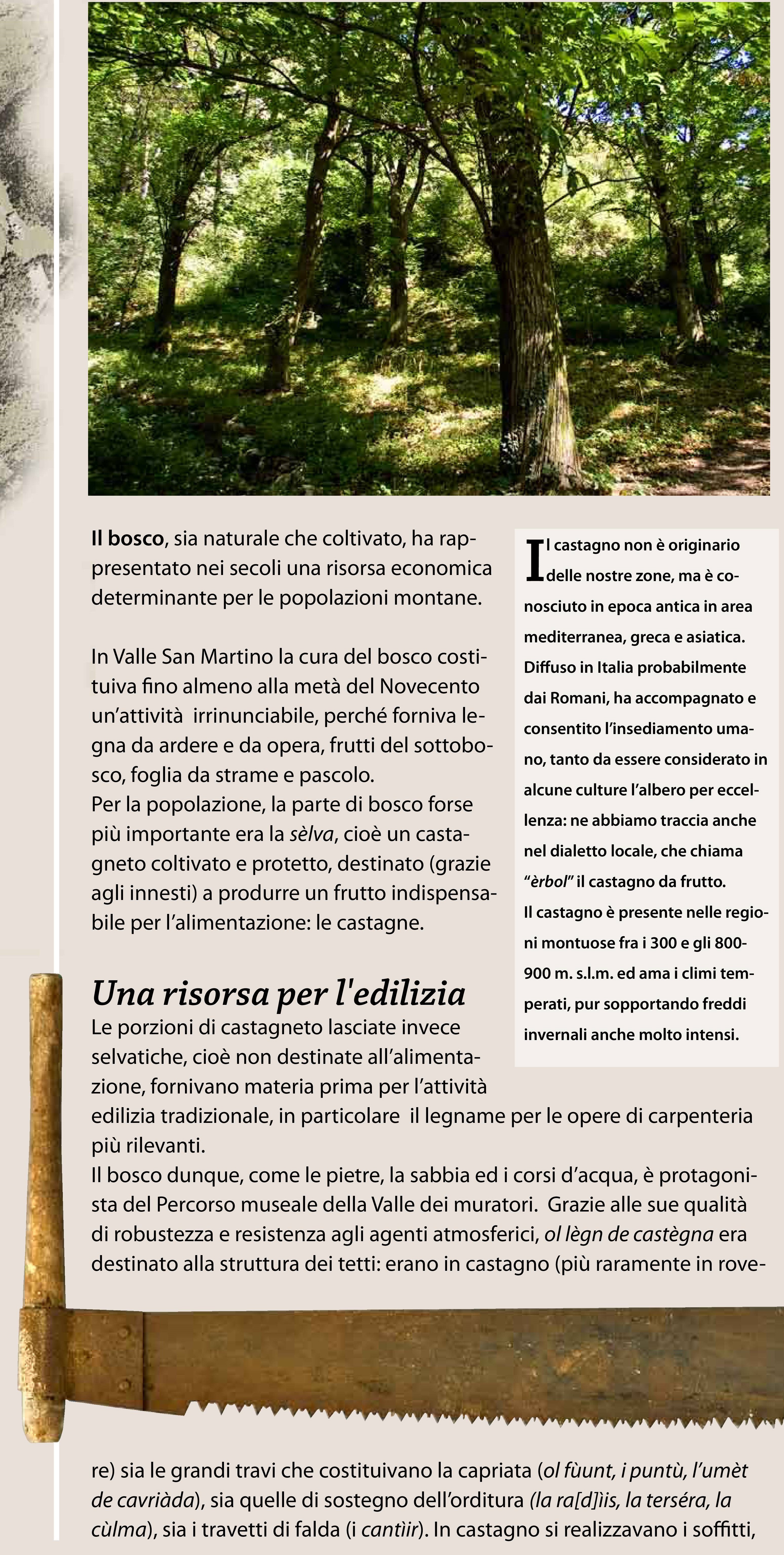 Risorse territorio 10 il bosco